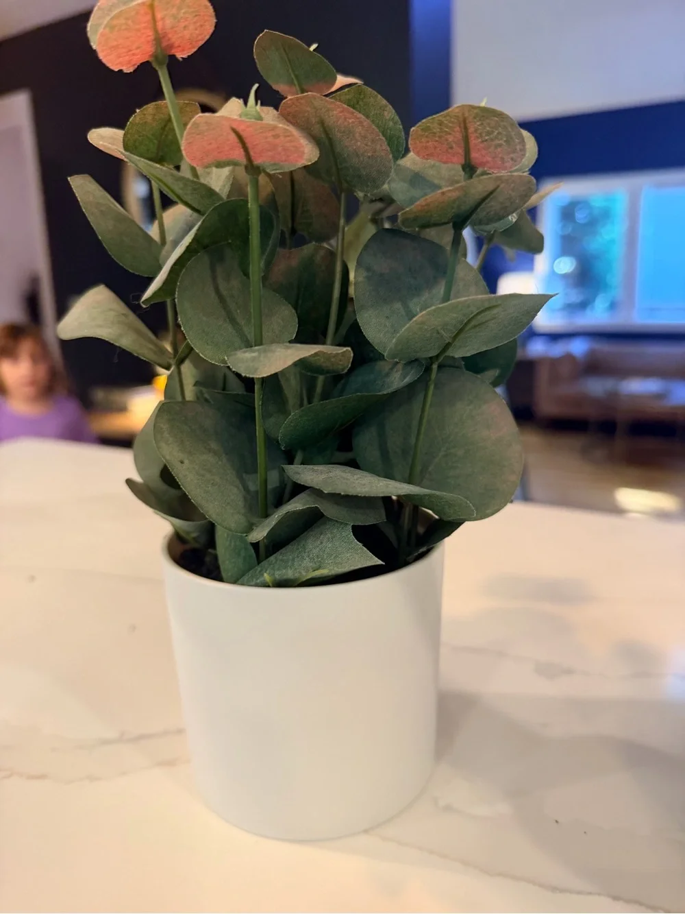 Artificial Eucalyptus Plant in White Pot - Green